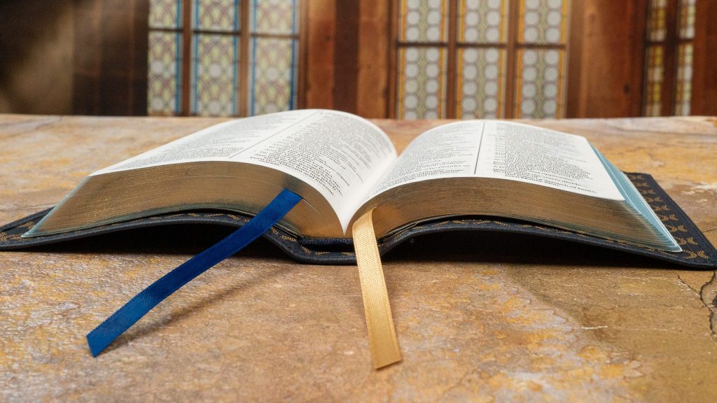 Legacy Standard Bible (LSB) Compact&nbsp;Edition